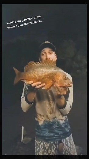 Massive Mangrove Jack Fishing Adventure