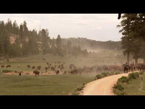 Utah Cattle Drive FULL EPISODE | America's Heartland
