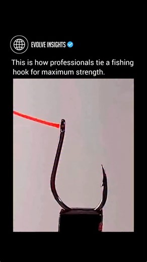 Evolve Insights on Instagram: "Fishing line may look simple, but it’s pure material science under tension 🎣🧪—engineered to survive explosive strikes, deep-water runs, and constant abrasion from rocks, teeth, and structure. Monofilament nylon stretches like a shock absorber ⚡, cushioning sudden hits and reducing snap-offs. Fluorocarbon plays tricks with light 🌊, staying nearly invisible underwater while resisting wear and sinking faster for better depth control. Braided line weaves ultra-stron