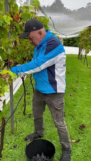 jimmy barnes on TikTok