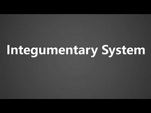 How To Pronounce Integumentary System
