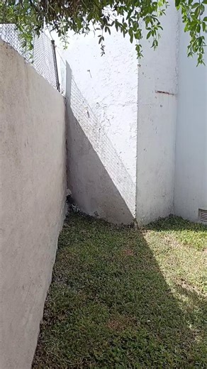 Pedí tu presupuesto que estamos para eso no te olvides... Tel...1163091063 #trabajo #love #refaccion #emprendiemiento #parati #esmeralda #video #paratti #faja #flores | Luis Alberto Silvero