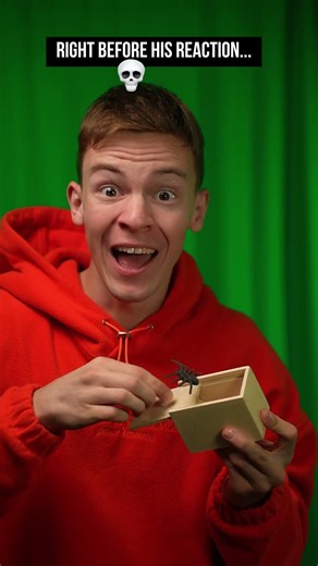 🌀Fake Spider in a Box Prank