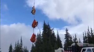 17K views · 324 reactions | This week we have begun translocating...