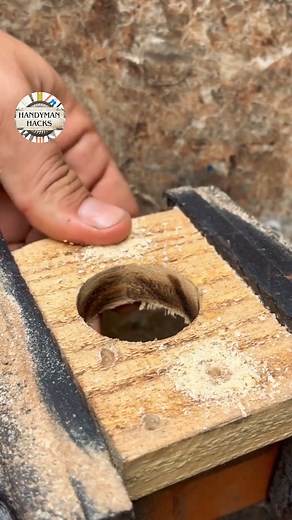 10K views · 24 reactions | From basic to advanced — enlarge holes with precision! #knothacks #knottyping #advancedknot #drillingtips #handyskills #easyfix #smartdiy | Handyman Hacks | Facebook
