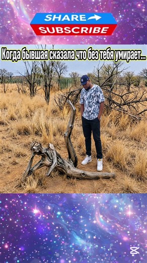 Бывшая на связи 🌳😂#memshow #юмор #мемы #shorts