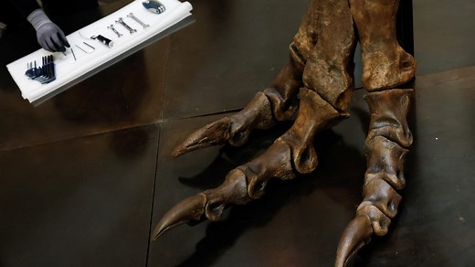 Scientists discover dinosaur that tried adapting to climate change | The Jerusalem Post