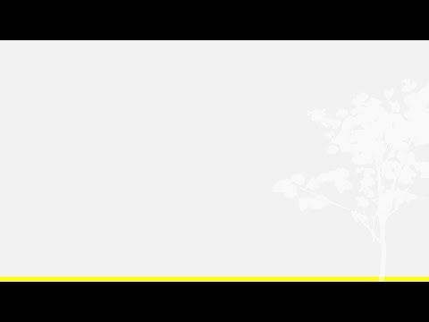 PR - Fluency Assessment SEED/CAEd - Entry 2026 - Data Validation