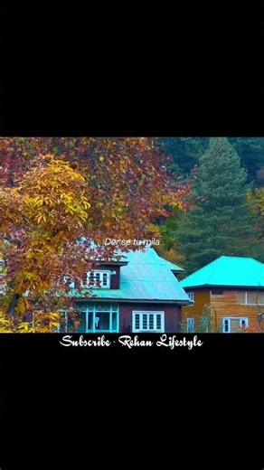 Mera Hua - Arijit Singh | ⁨‪@ProRiderRehan07‬ | Aesthetic Lyrics Video #shorts #song #lyrics