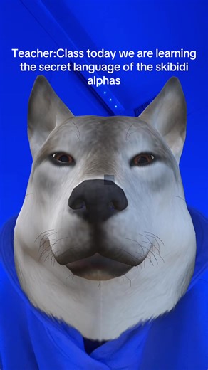 the forbidden language @🌷 emma wolf 🪷 | skibidi