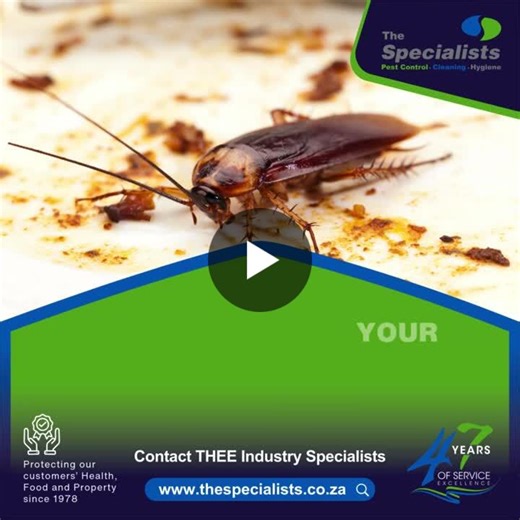 #cockroach #cockroachcontrol #pestcontrol #winterpests #cockroachcontrolnearme #localpestcontrol #cockroachcontrolnearme #pestcontrolspecialists #thespecialists | The Specialists™ Pest Control Vaal Triangle