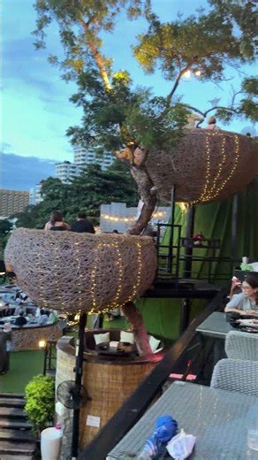 Three Mermaid Cafe #pattaya #thailand #punjabivlogs #restaurant #subscribe #travelvlog #familyvlog