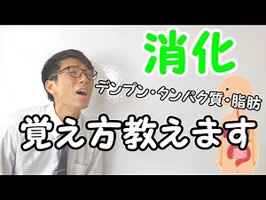 【中学理科】消化～楽しく暗記しよう～ 2-3【中２理科】