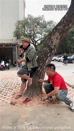 Funny Tree Prank Trick 😯