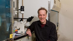 Suspended Animation — NOVA | PBS