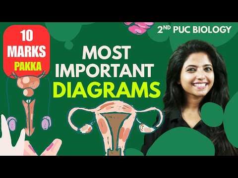 🔥 ALL DIAGRAMS IN ONE VIDEO! 2nd PUC Biology Boards 2026 | Jasmine Mam 💯🧬