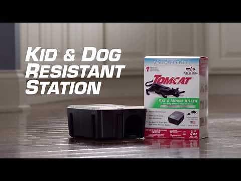 How to Kill Rodents Using the Tomcat® Child & Dog Resistant Rat & Mouse Killer Disposable Station