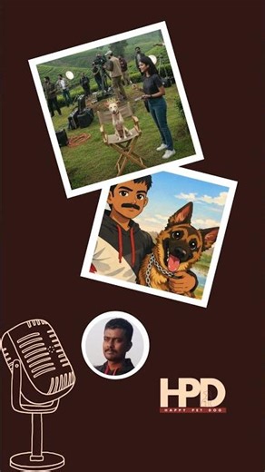 Dogs in Movies: A Trainer’s Real Cinema Experience