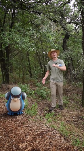 Snom - The Friendly Bug Ice Type Pokemon | Pokemon Conservationist