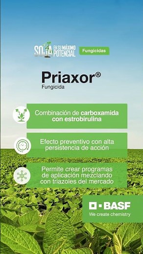 BASF - Fungicidas Priaxor