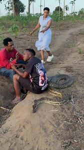 478K views · 4K reactions | A python enjoying the aroma of a cigarette#Amazon #snake #fyp #trendingreelsvideo #short | SnakeWorld TV | Facebook