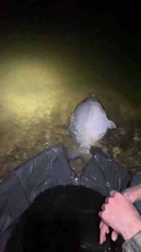 Fishing strategies for better results