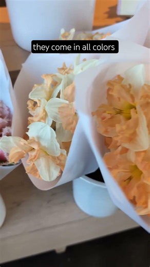Do you know what a daffodil really looks like?