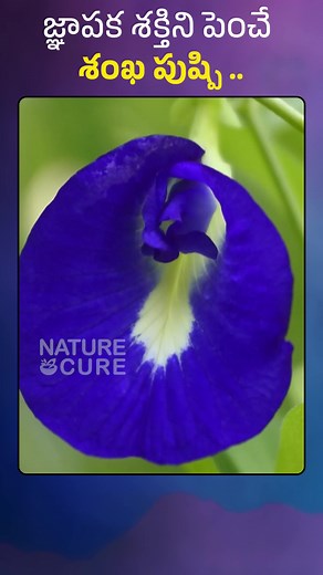 900K views · 18K reactions | Nature Cure Health Tips on Reels | Facebook