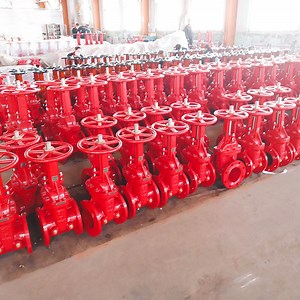 [Hot Item] 12'' DN300 Fire Protection Valve 300psi Rising Type Osy Gate Valve with Flange Type