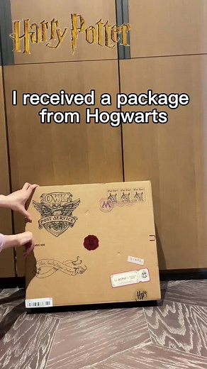 Unboxing Hogwarts Gifts: Toys, Snacks, and Magic!