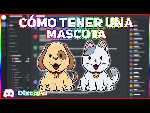 Cómo Tener Una Mascota En Discord