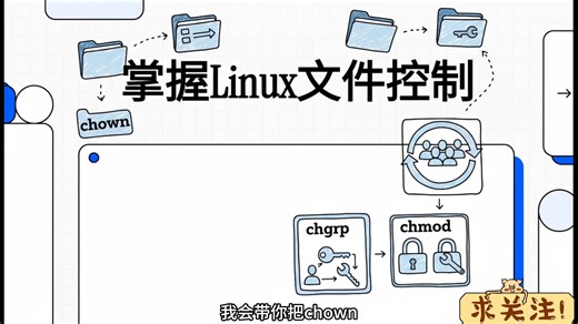 Linux命令之文件控制
