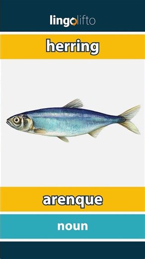 🇬🇧🇪🇸 herring - arenque : learn English : aprendamos inglés : vocabulary builder