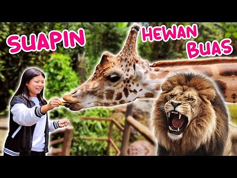 FEEDING GIRAFFES & CUTE ANIMALS AT PUNCAK ZOO! Funny Vlog | CnX Adventurers