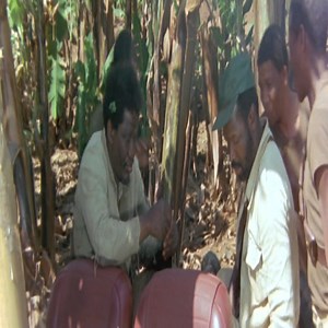 Top movie netflix 2023 | Natural Development