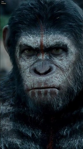 Dawn of the planet of the apes | one of the best CGI film ever #dawnoftheplanetoftheapes #movie