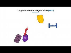 Proteolysis-targeting chimera-BOC Sciences