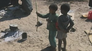 Devil's claw has been used for hundreds of years by the san people for various purposes. More recently pharmaceutical companies in Europe are using it for medicinal purposes. #NBCNews #nbcDSTV282 #nbcdigitalnews | NBC Digital News