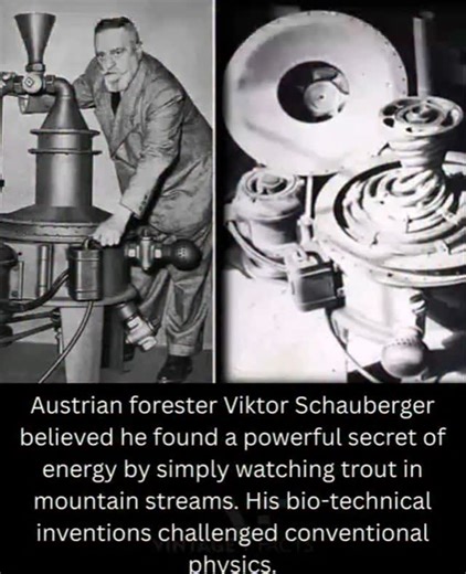 Past Whisper on Instagram: "The Trout Whisperer of Austria In the 1920s, deep in the Austrian Alps, forester Viktor Schauberger observed something that would change his life—and challenge modern science. While watching trout effortlessly swim upstream against powerful currents, he noticed they seemed to levitate, propelled not by muscle but by the water’s vortex motion. This revelation led him to a radical idea: nature’s energy flows in spirals, not straight lines. Schauberger began building mac