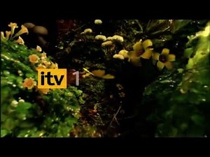 ITV 1 Gardens Ident 2007