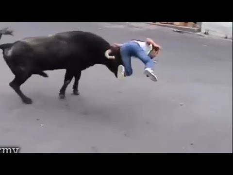 bull fight funny videos || bull vs man fight || funny bull fight in street