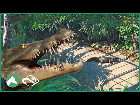 Saltwater Crocodile Habitat | Elm Hill City Zoo | Planet Zoo