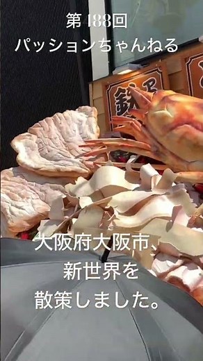 #大阪府 #新世界 #繁華街 #観光スポット #旅行動画 #一人旅 #travel #大阪観光 #oosaka #通天閣 #ジャンジャン横丁 #南陽通商店街 #動物園前 #新今宮 #shorts