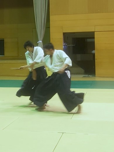 Mastering Self-Defense with Aikido Techniques