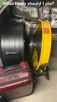 Which fan should I use for the first fan start up of 2026