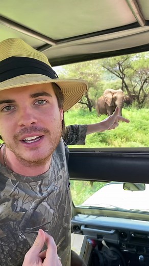 Bull Elephant as a Rugby Front Rower: A Humorous Take