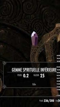 Big brain ^^ #lacavernedepassp , #skyrim