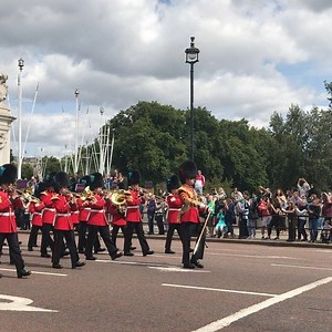 3.1K views · 170 reactions | Lucky to be in the right place at the right time  | Lynette Anderson Designs | Facebook