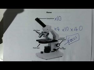 B1 Microscopy and the magnification equation