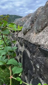 932K views · 31K reactions | Which is top of your list?  1. Eilean Donan Castle 2. Stirling Castle 3. Tioram Castle 4. Buchanan Castle 5. Lennox Castle #ScottishCastles #VisitScotland #ScotlandTravel #Scotland #Scotlandswild | Scotland's Wild | Facebook